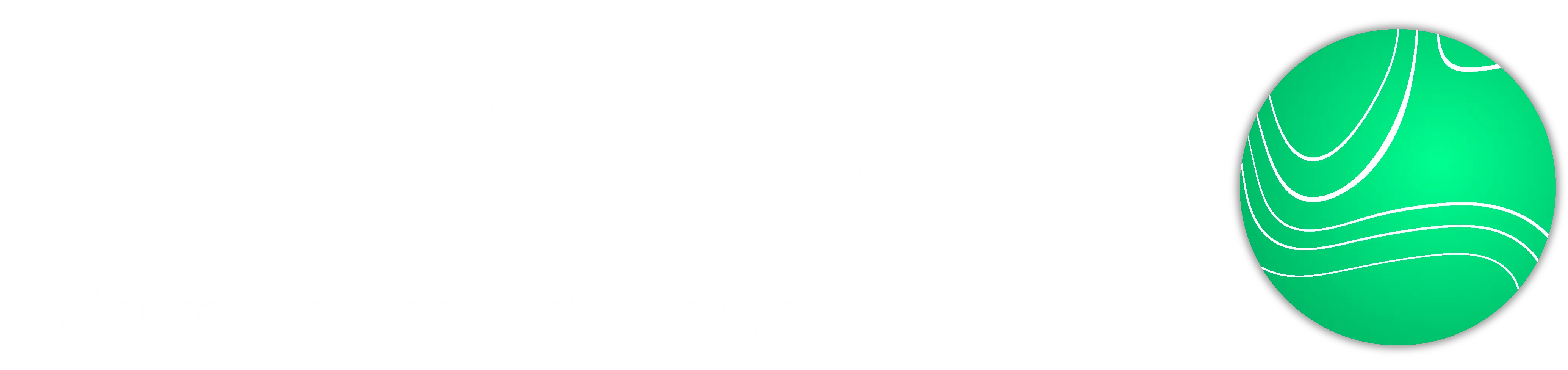 Leisure Walking Systems Working Group: making place research buildable logo